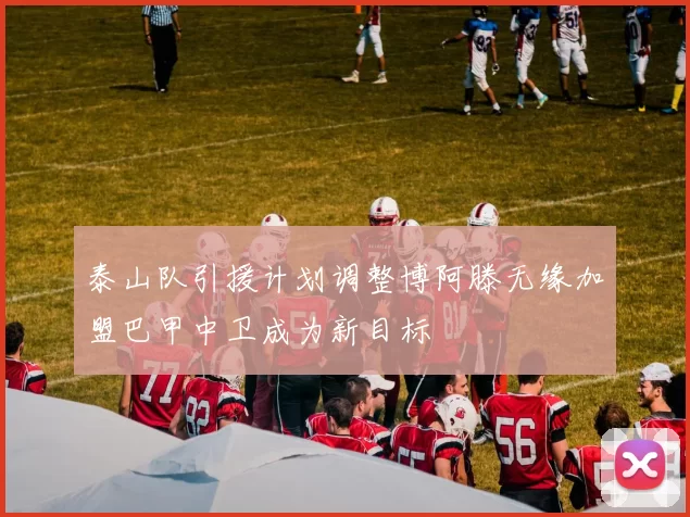 泰山队引援计划调整博阿滕无缘加盟巴甲中卫成为新目标