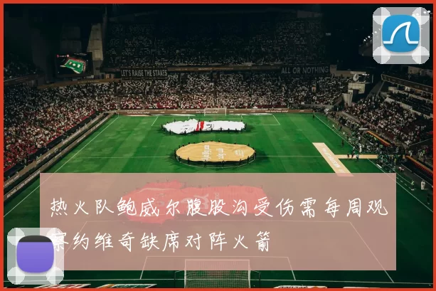 热火队鲍威尔腹股沟受伤需每周观察约维奇缺席对阵火箭
